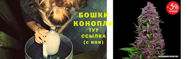 дживик Кострома