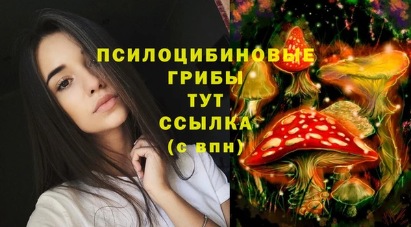 эйфоретик Лабытнанги