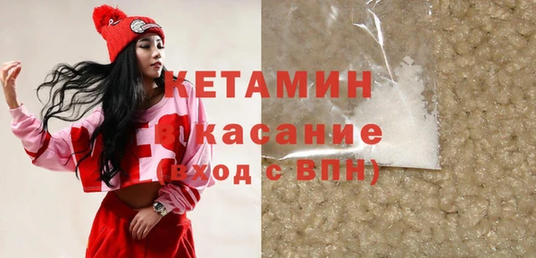сатива Кулебаки