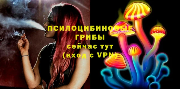 PSILOCYBIN Нижневартовск